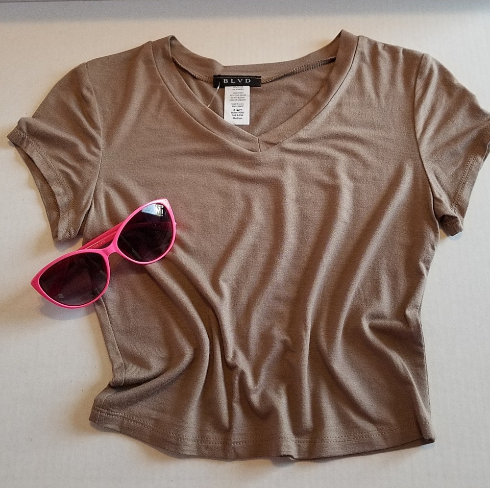 FINAL PRICE! V-Neck Crop Top